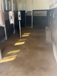 Used 2009 Bison Aluminum Sport 4 Horse Living Quarters Horse Trailer