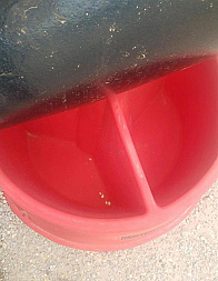 New 2025 Century Livestock 250# Mineral Feeder Farm / Ranch