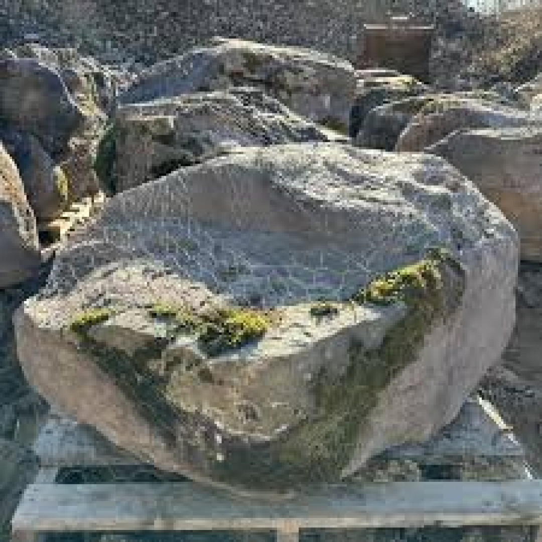 2027 Maxwell STONE Rocks