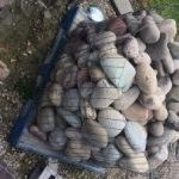 New Colorado Cobblers