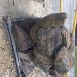 New Large Creek Rock