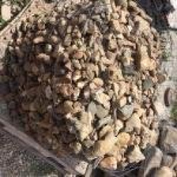 New Small Creek Rock