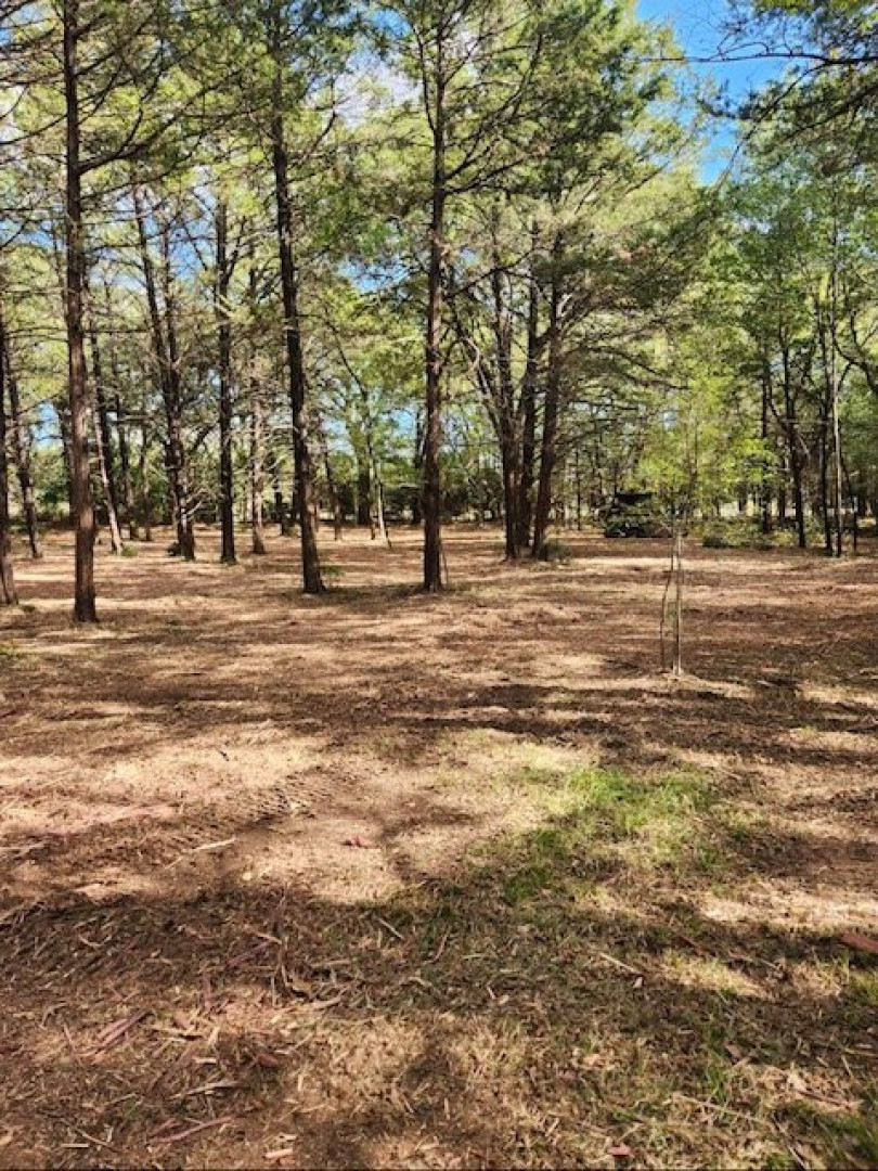 Used 2022 RT120 Skid Steer