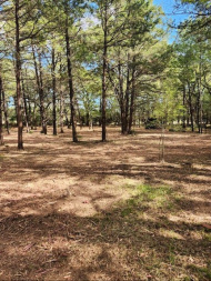 Used 2022 RT120 Skid Steer