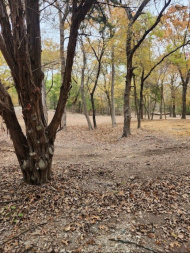 Used 2022 RT120 Skid Steer
