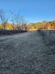 Used 2022 RT120 Skid Steer