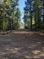 Used 2022 RT120 Skid Steer