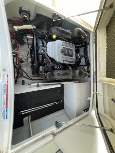 Used 2010 Sea Ray 220 Sundeck Deck Boat