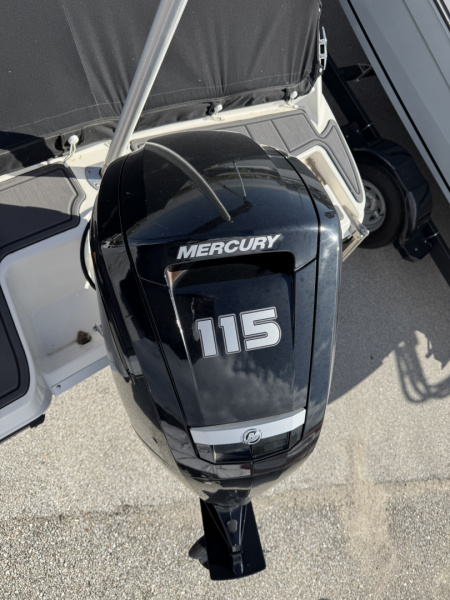 New 2024 Bayliner Boats E19