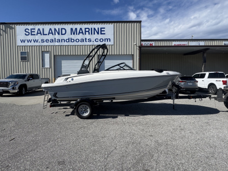 New 2024 Bayliner Boats VR4
