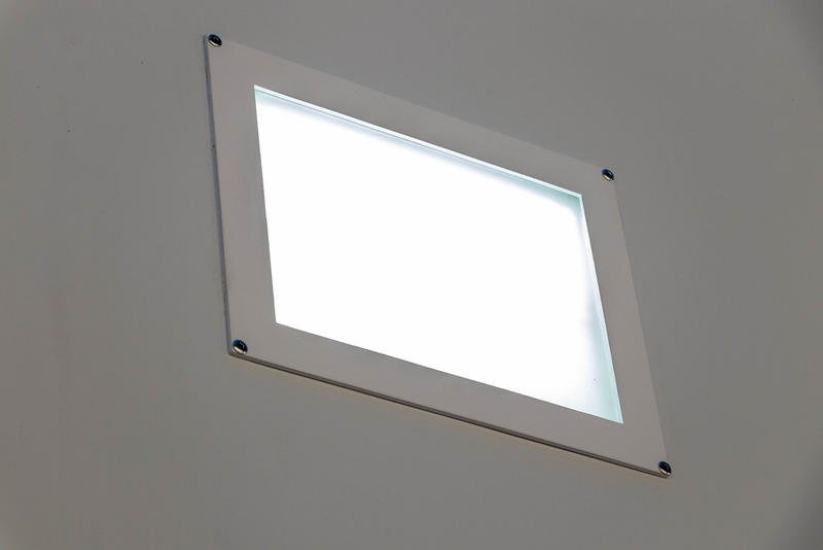 New 2026 38' Performax Race Trailer Lift Gate