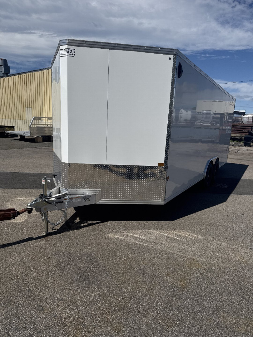 New 2025 E-Z Hauler 102"X20' Aluminum Car Hauler