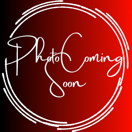 New 2025 903 Skirted Truck Bed