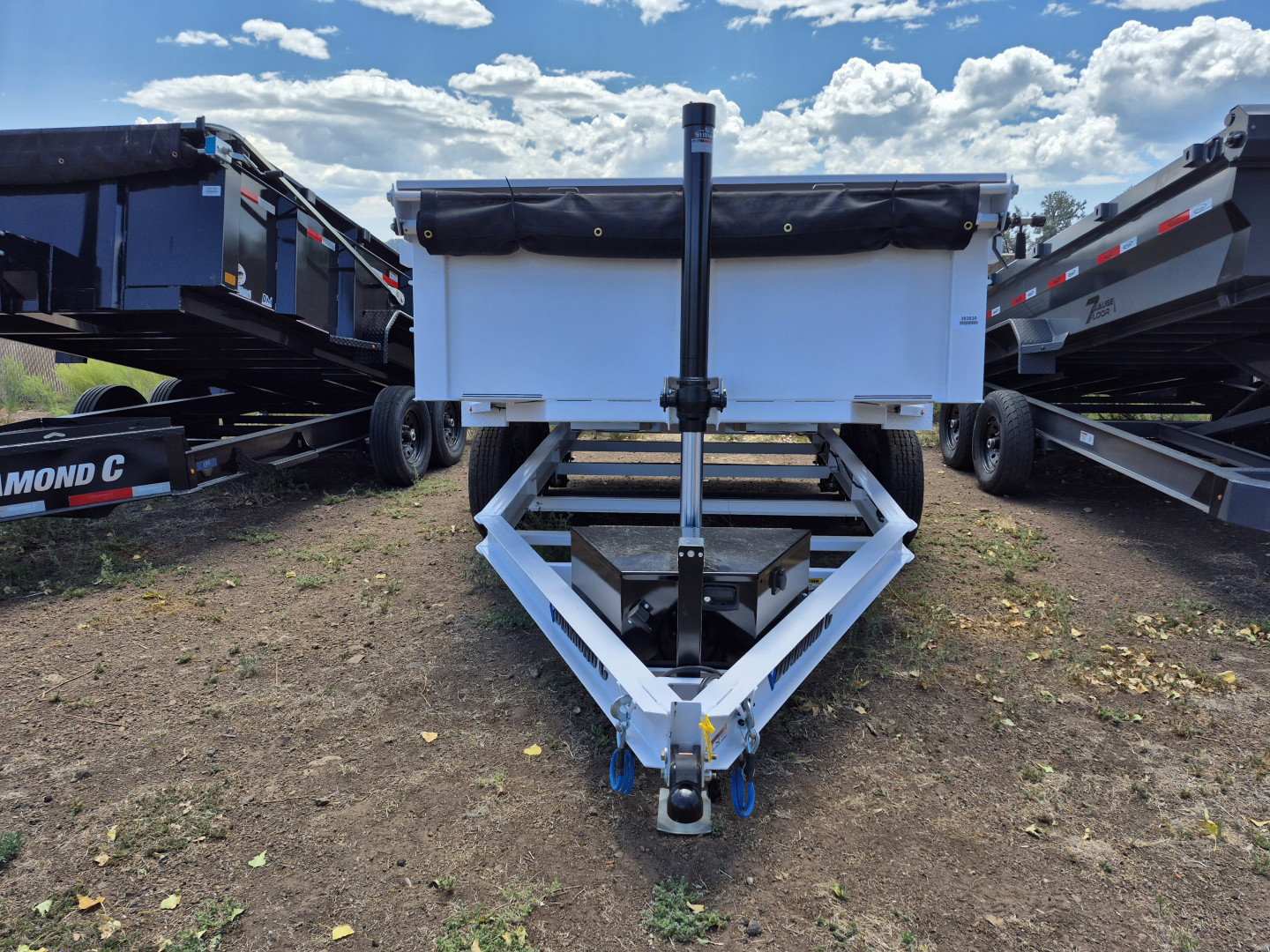 New 2025 Diamond C Tandem Axle Telescopic Dumper/9,890 GVWR/77"x12'