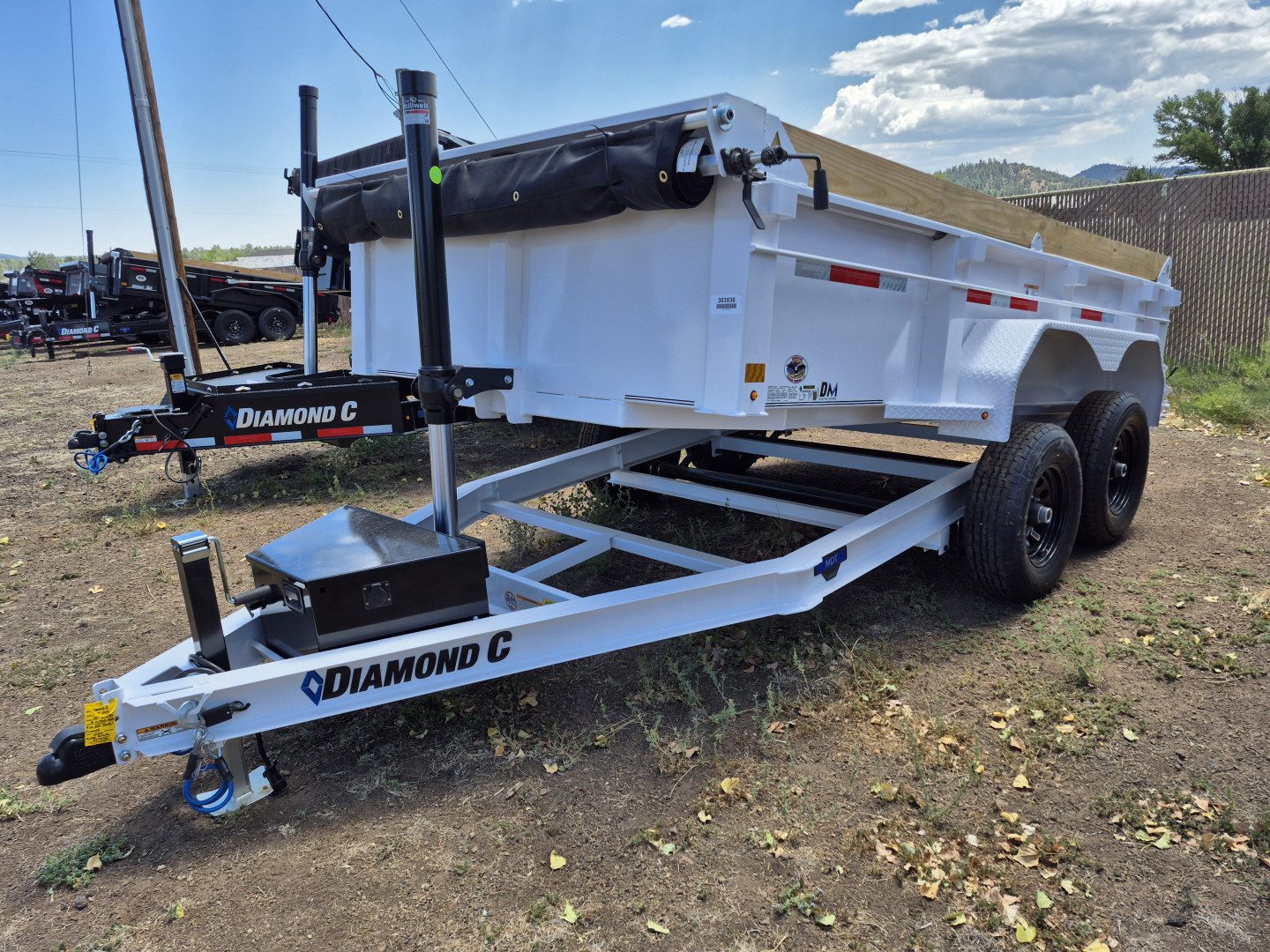 New 2025 Diamond C Tandem Axle Telescopic Dumper/9,890 GVWR/77"x12'