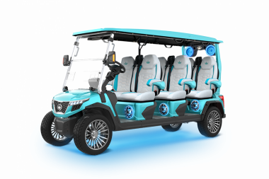 New 2025 Evolution Electric Vehicles D-MAX GT6 Golf Cart