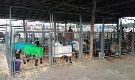 New 2026 Sheep & Goat Panels - Farm / Ranch