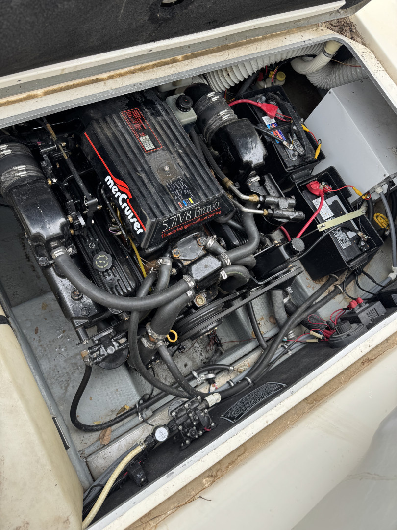 Used 1995 Rinker Fiesta Vee 265 Cuddy Cabin