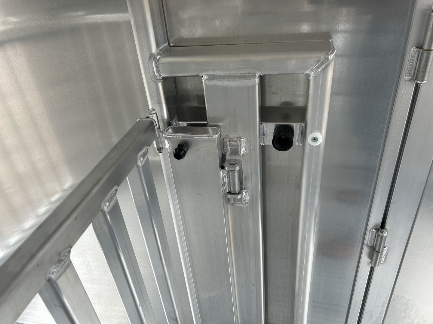 New 2026 Cimarron Showstar 10 Pen