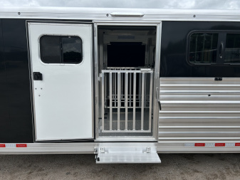 New 2026 Cimarron Showstar 10 Pen