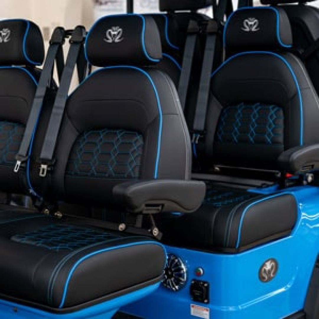 New 2026 Venom Venom EV Golf Cart