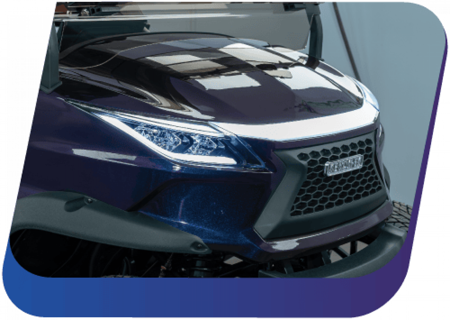 New 2026 Venom Venom EV Golf Cart