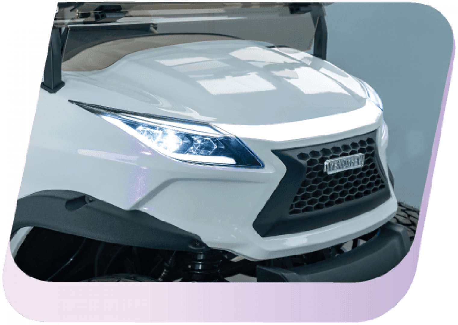 New 2026 Venom Venom EV Golf Cart