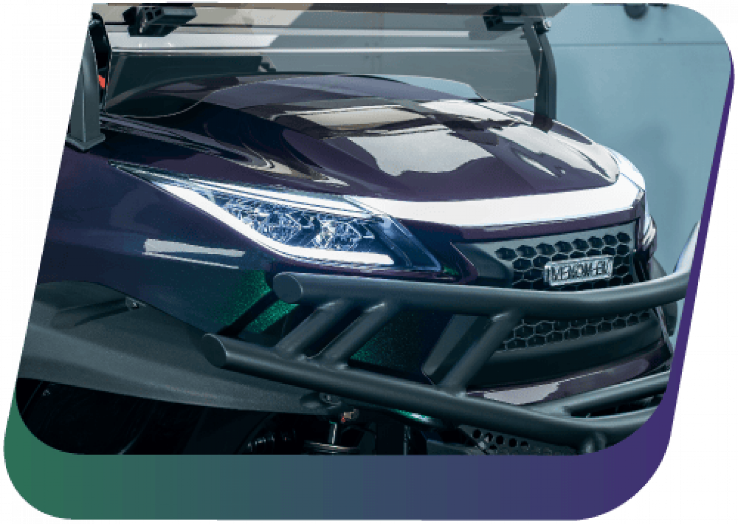 New 2026 Venom Venom EV Golf Cart