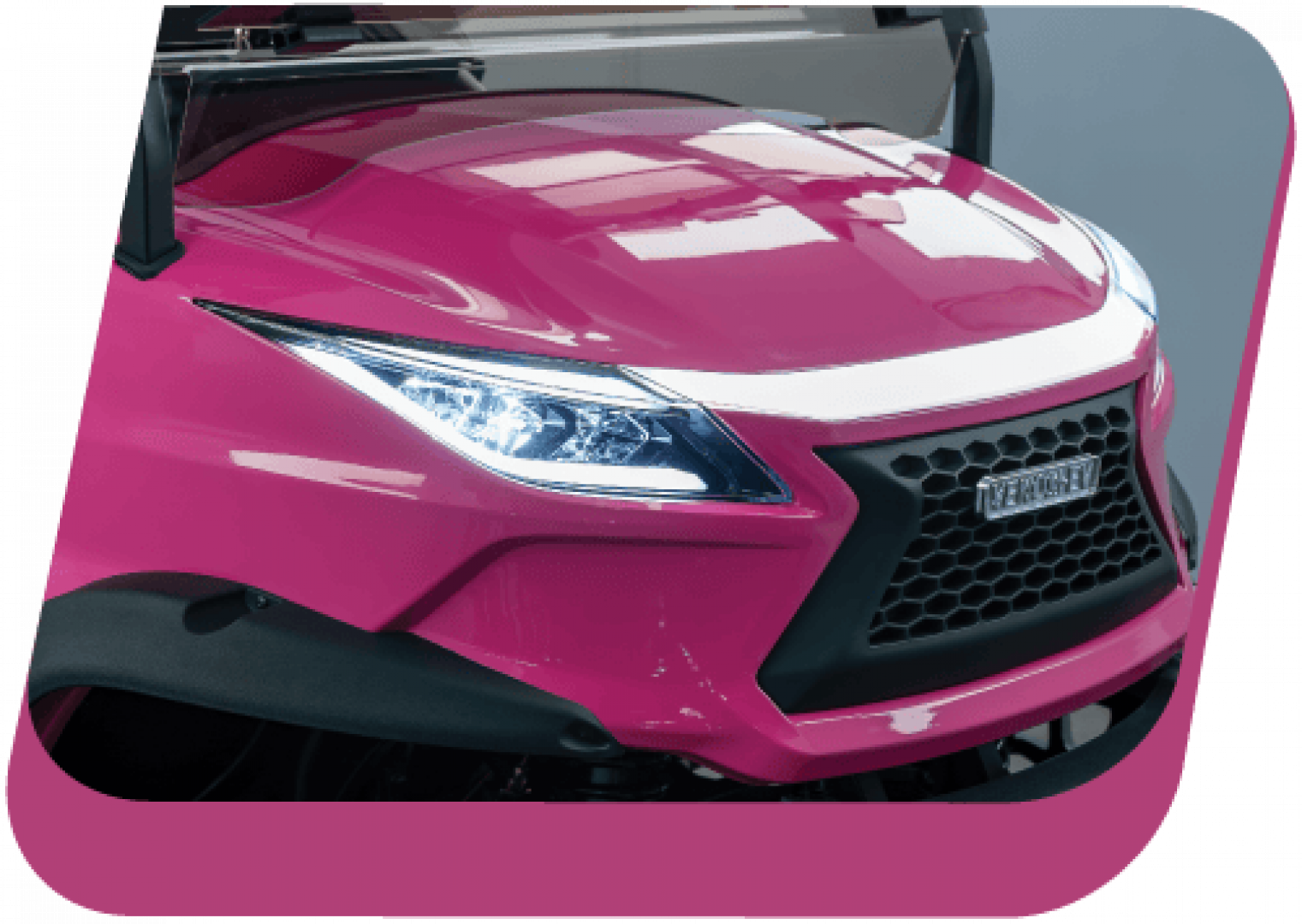 New 2026 Venom Venom EV Golf Cart