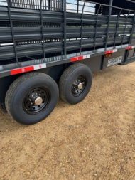 New 2025 Circle W 20' GN LIVESTOCK