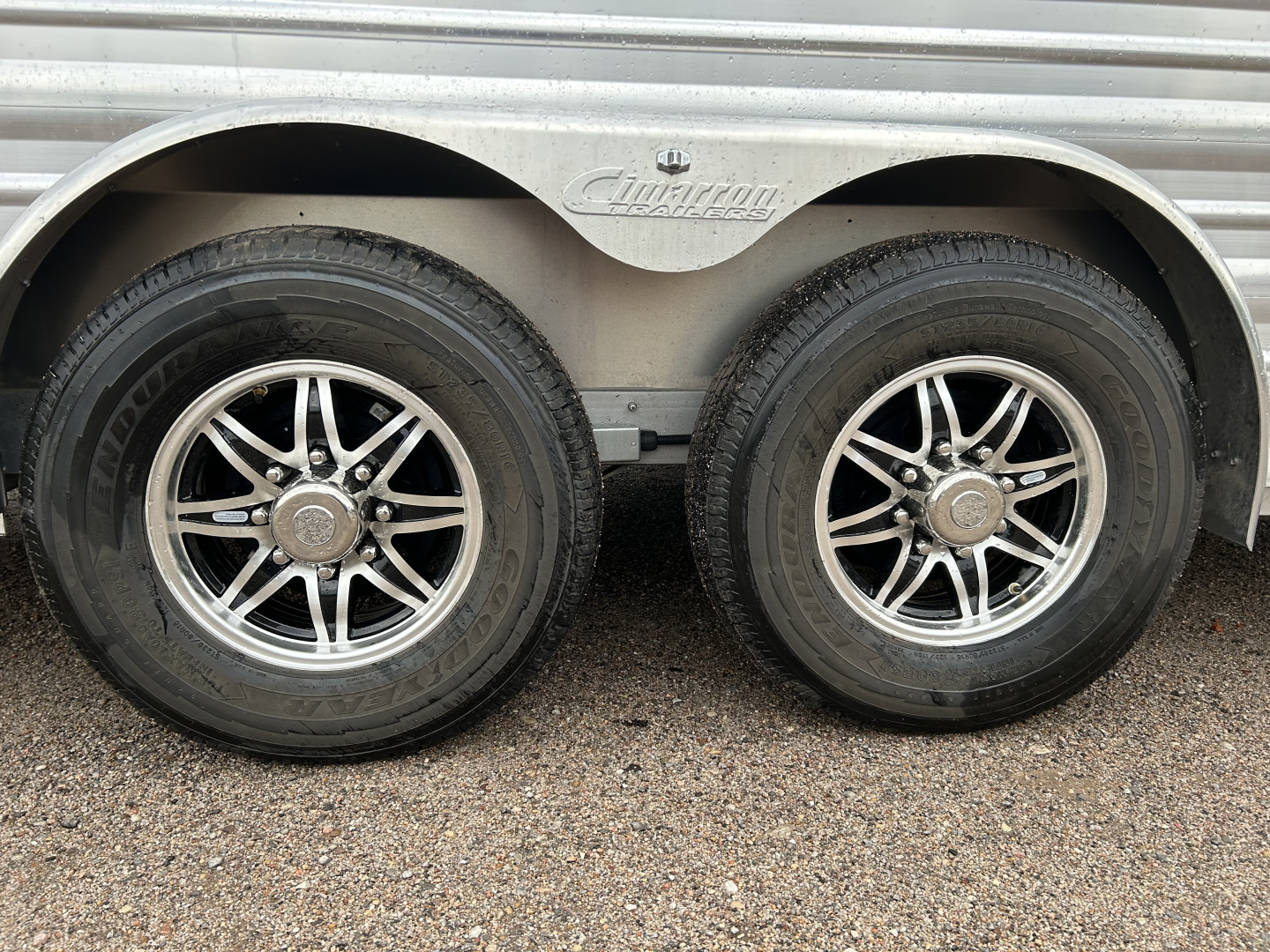 New 2026 Cimarron 5 Horse Winstar stock combo