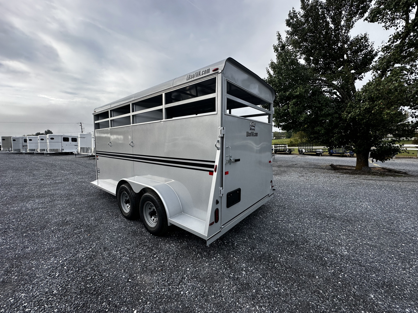 New 2026 Bee 3 Horse Slant Load Durango BP Horse Trailer