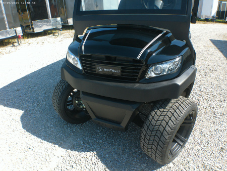 New 2025 Bintelli BEYOND 4P Golf Cart