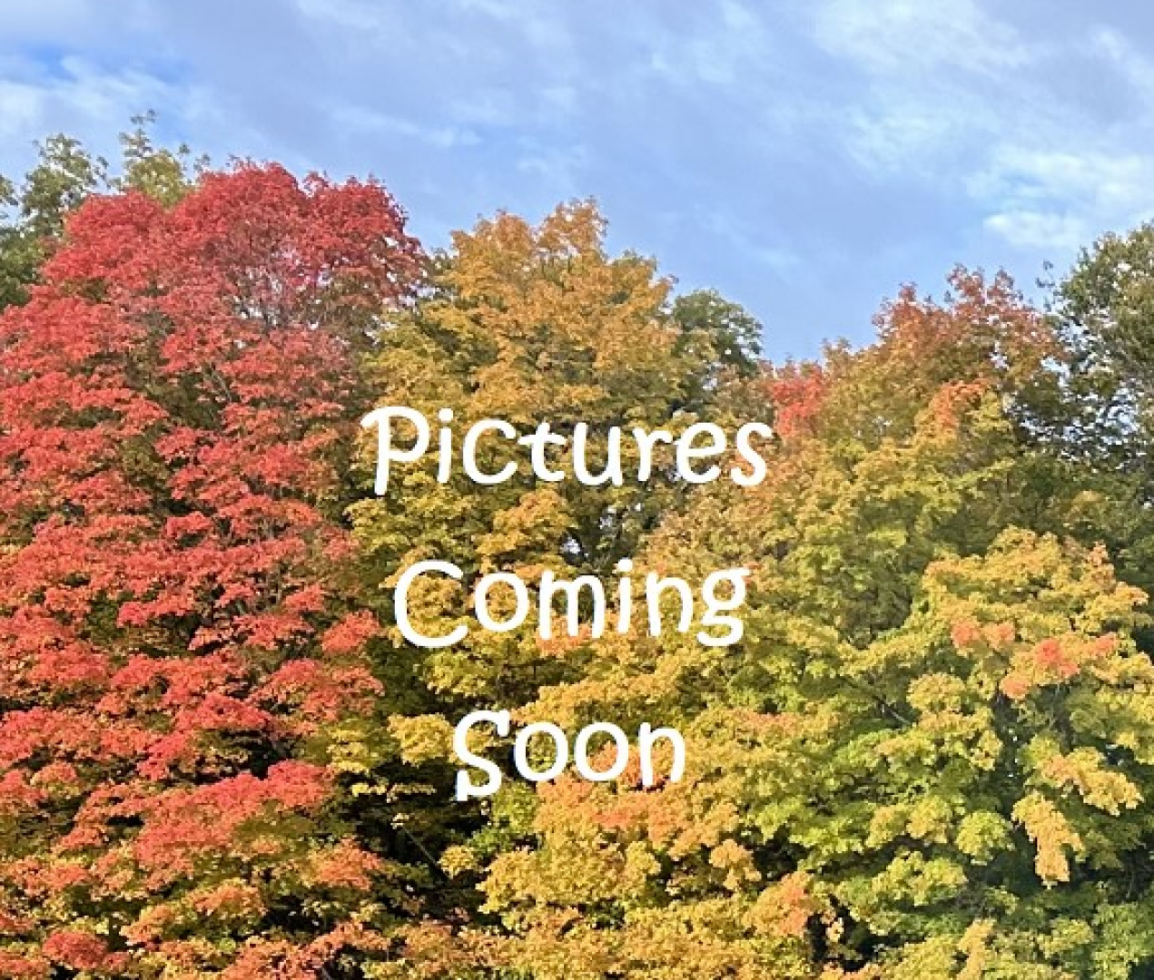 New 2025 Load Trail 83x24 Landscape 10k w/4ft Split Gate Equipment Trailer