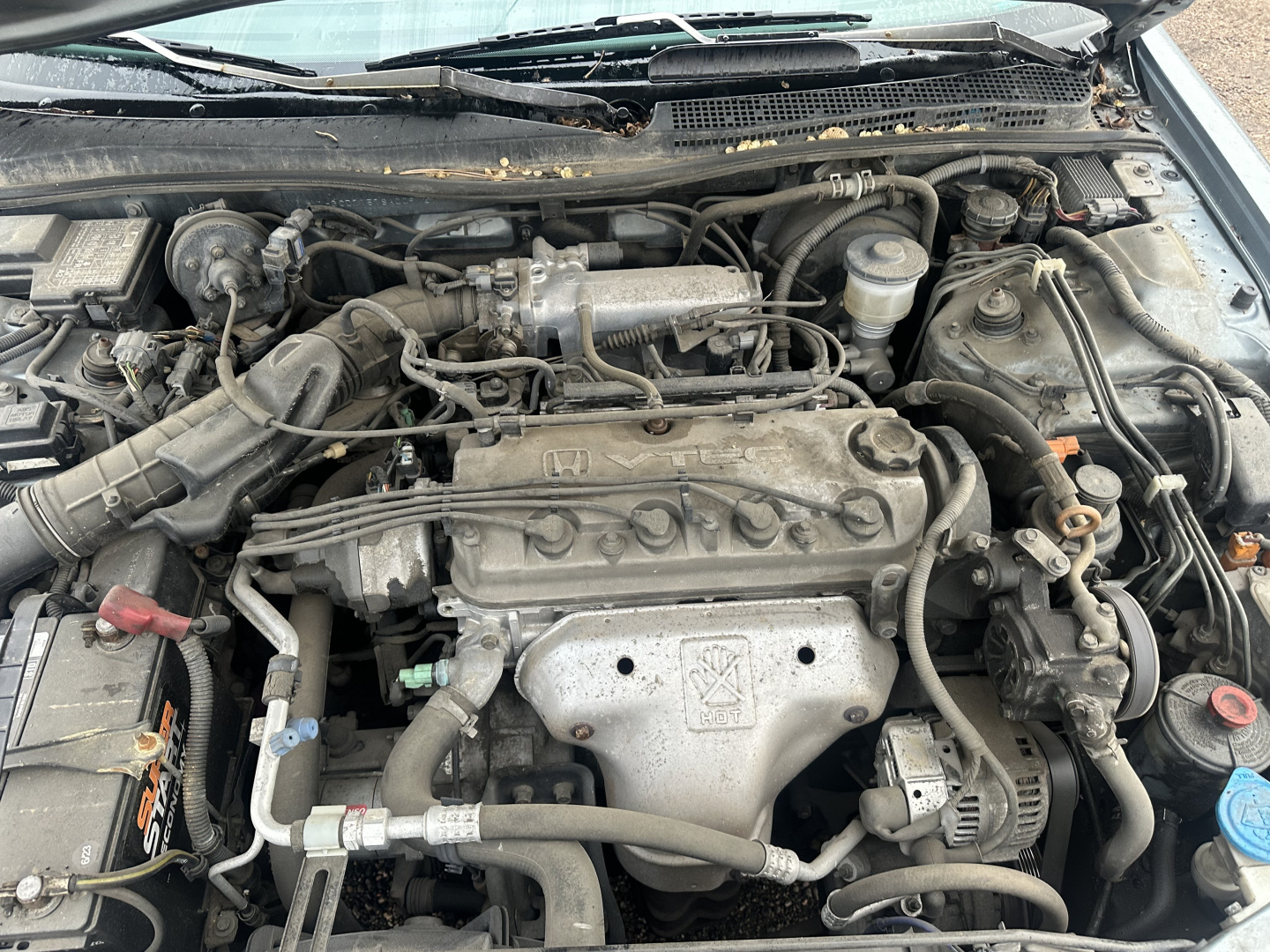 Used 1995 Honda Accord Car