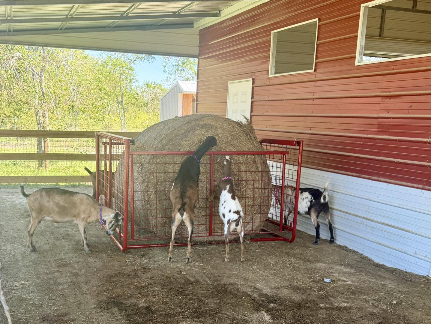 New 2025 Collapsible Round Bale Feeder Farm / Ranch