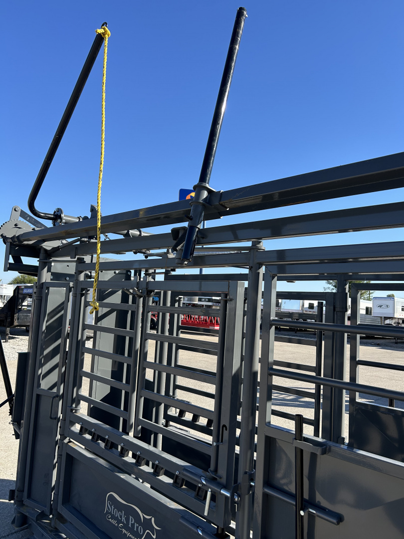 New 2026 Other M1200 Cattle Squeeze Chute w/ Palpation Cage Livestock Equipment