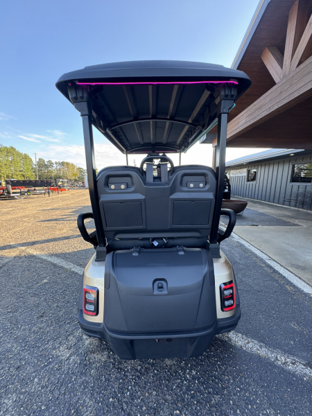 New 2026 Icon EV Epic FX40 Golf Cart