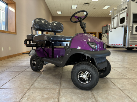 New 2026 Cricket Mini Golf Carts Cricket RX - 5