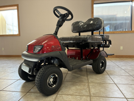 New 2026 Cricket Mini Golf Carts Cricket RX - 5