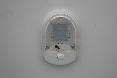 New 2019 United UXT Commercial Grade Cargo Trailer - 8.5'x 20' - 7.5' Interior Height - Rear Ramp Door - Extended Tongue - 12000# GVW