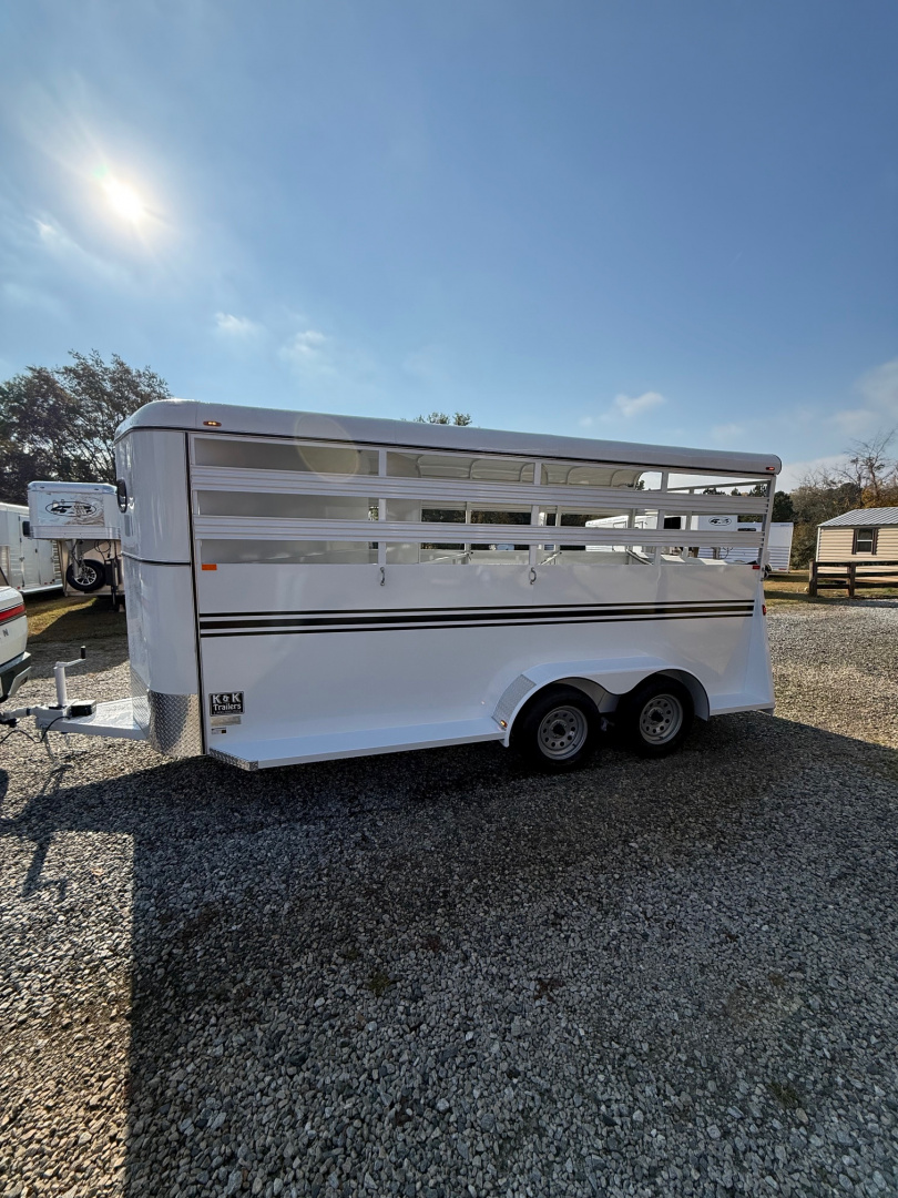 New 2026 Bee 3 Horse Slant Load BP Horse Trailer