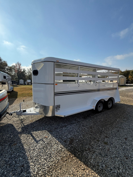 New 2026 Bee 3 Horse Slant Load BP Horse Trailer