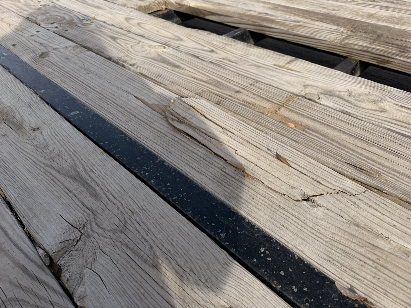 Used 2022 Diamond T 8.5-HD30BuggyCarHaulerMAXXSSdove