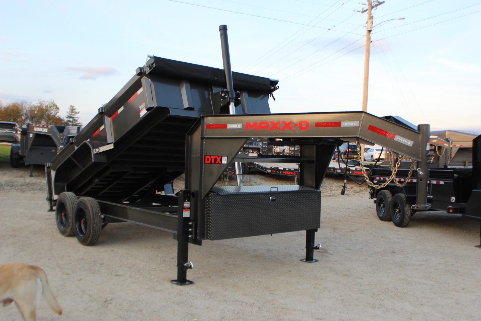 2026 MAXXD DTX photo 9