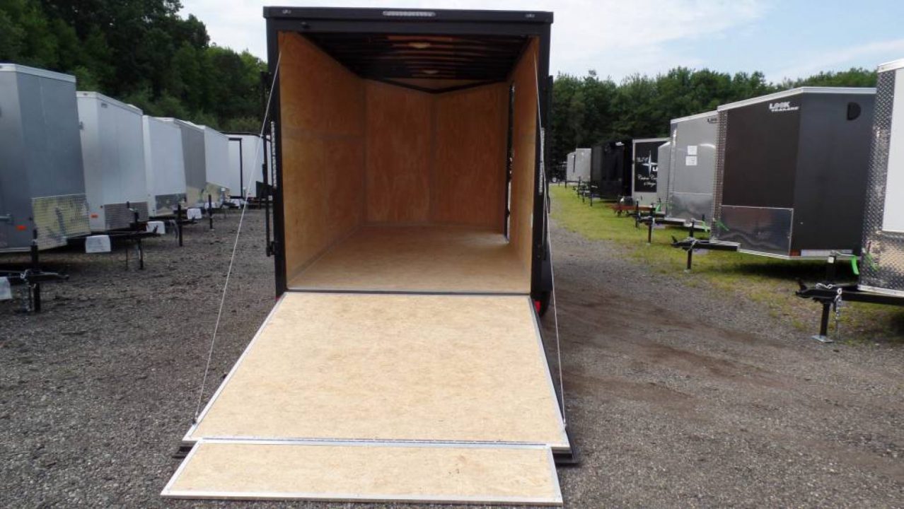 Enclosed Cargo Trailer photo 5