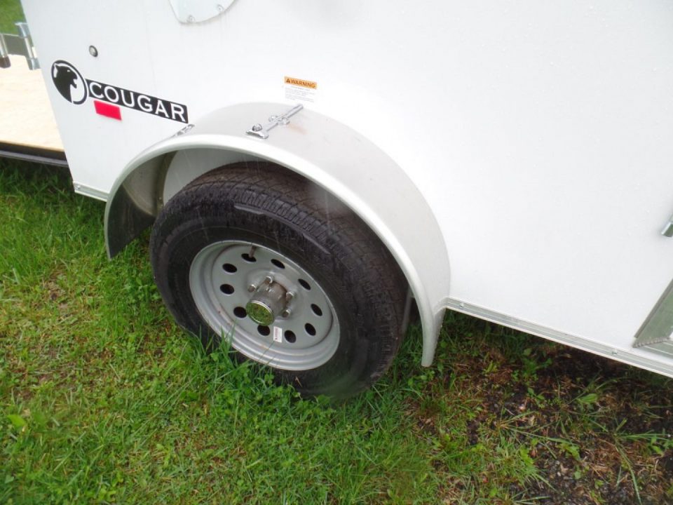 Enclosed Cargo Trailer photo 6
