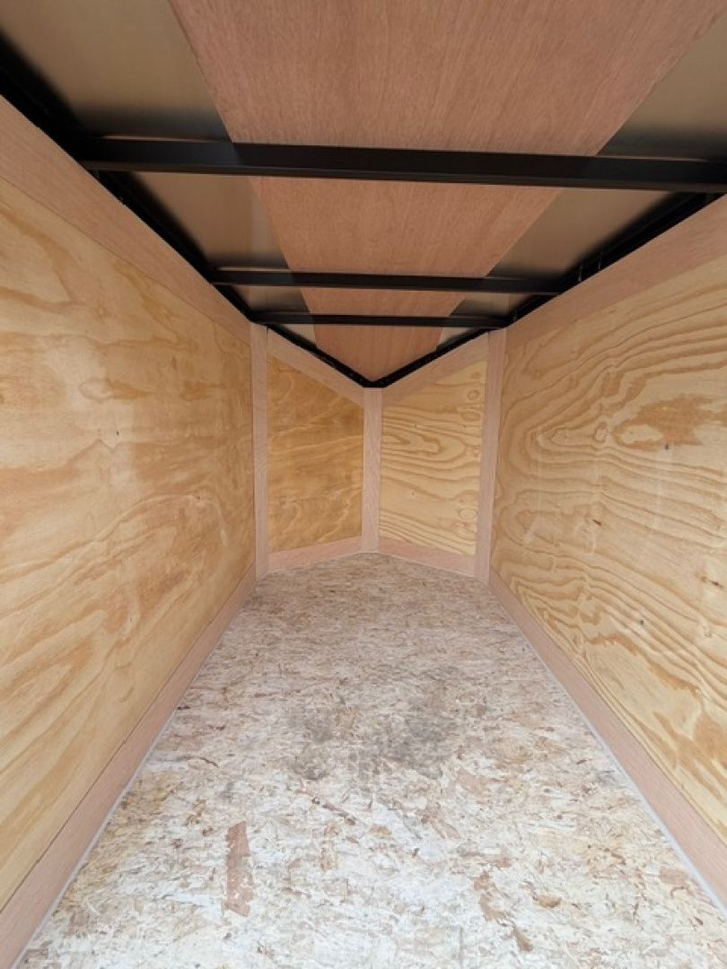 New 2026 4 x 6 Stealth Enclosed Trailer with Barn Door Cargo