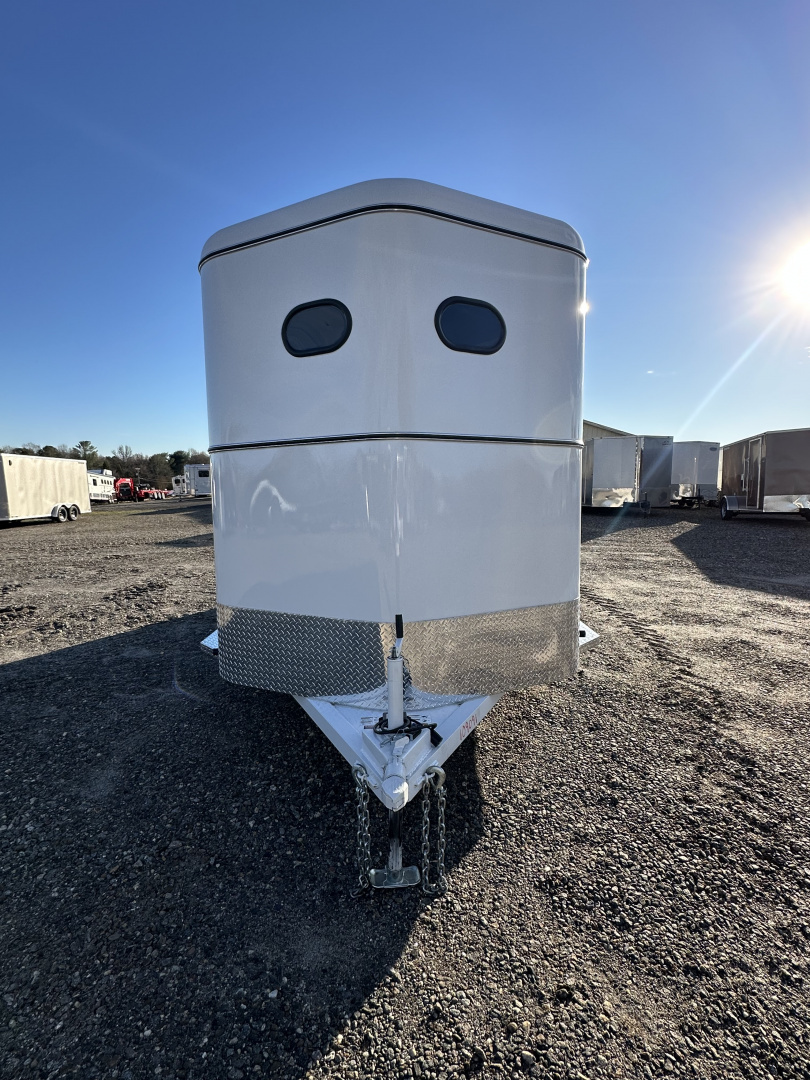 New 2026 Bee 2H BP Warm Blood Slant