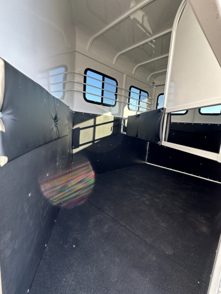 New 2026 Bee 2H BP Warm Blood Slant